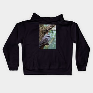 Tawny Frogmouth 1 Kids Hoodie